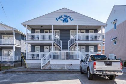 Blue turtle #1 Ocean City Maryland