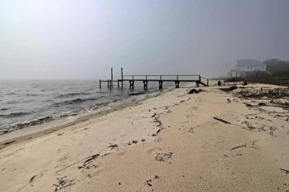 Oceanfront Stilt House with Deck on Private Beach! - image 8