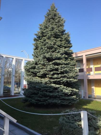 Ramada by Wyndham Rockville Centre - image 12