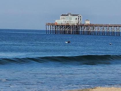 Oceanside Rocks Family Vacation Home California