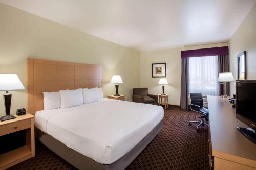 La Quinta by Wyndham Odessa North - image 2