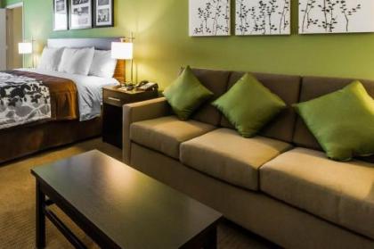 Sleep Inn & Suites - image 4