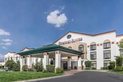 Comfort Suites Ogden Conference Center - image 11