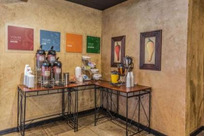 Comfort Suites Ogden Conference Center - image 7