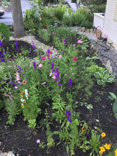 Black Boar Inn Ogunquit - image 2