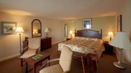 The Sparhawk Oceanfront Resort - image 4