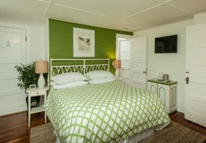 The Trellis House - image 4