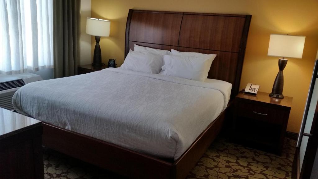 Hilton Garden Inn Olathe - image 6