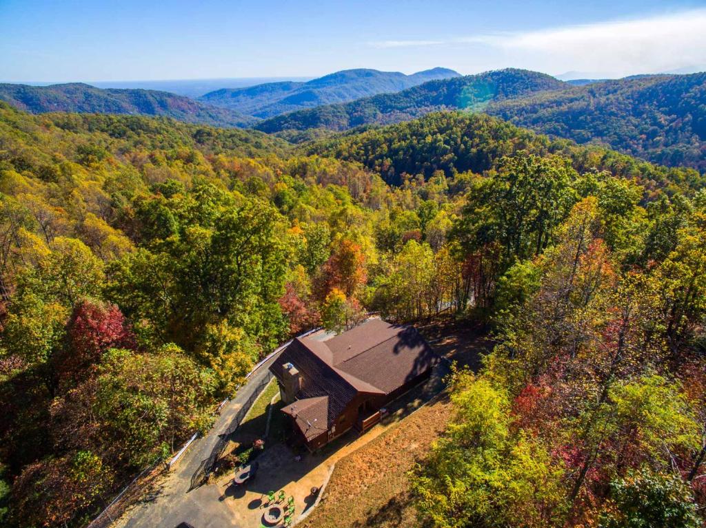 Dancing Bears Cabin - main image