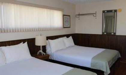 Abellona Inn & Suites - image 4