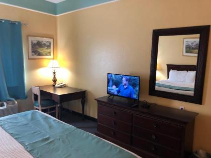 Deluxe 6 Inn & Suites - image 4
