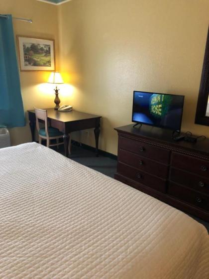 Deluxe 6 Inn & Suites - image 5