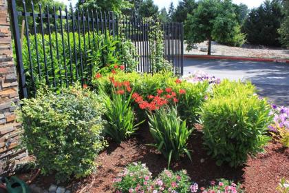 Best Western Plus Lacey Inn & Suites - image 4