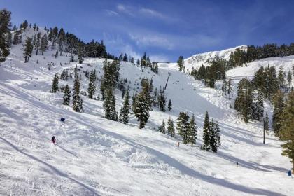 Mountain Flair - image 5