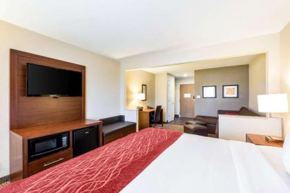 Comfort Inn Onalaska - La Crosse Area - image 11
