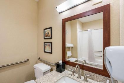Comfort Inn Onalaska - La Crosse Area - image 13