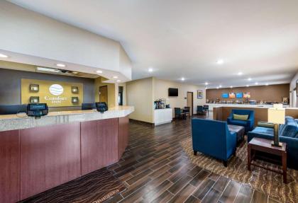Comfort Inn Onalaska - La Crosse Area - image 4