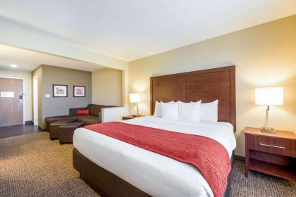 Comfort Inn Onalaska - La Crosse Area - image 8
