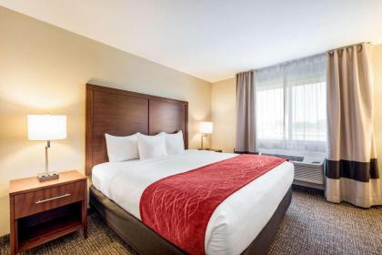 Comfort Inn Onalaska - La Crosse Area - image 9