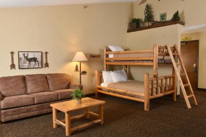 Stoney Creek Hotel La Crosse - Onalaska - image 10