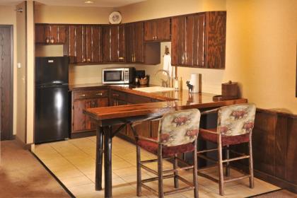 Stoney Creek Hotel La Crosse - Onalaska - image 11