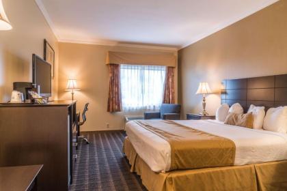 Best Western Inn & Suites - image 10