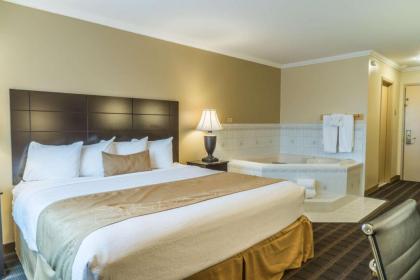 Best Western Inn & Suites - image 14