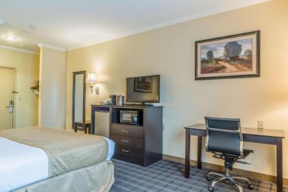 Best Western Inn & Suites - image 15