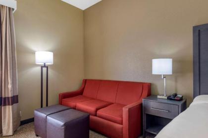 Comfort Inn Opelika - Auburn - image 10