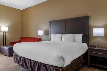Comfort Inn Opelika - Auburn - image 11