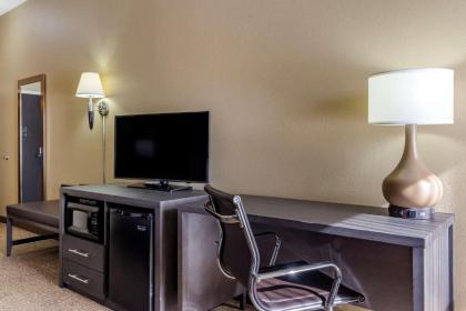 Comfort Inn Opelika - Auburn - image 12