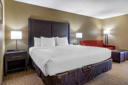 Comfort Inn Opelika - Auburn - image 14
