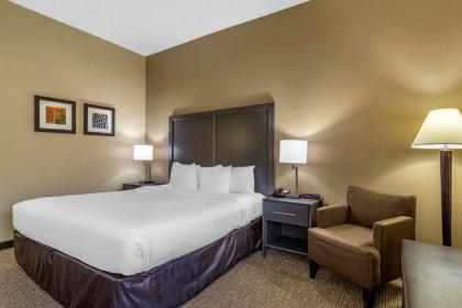 Comfort Inn Opelika - Auburn - image 7