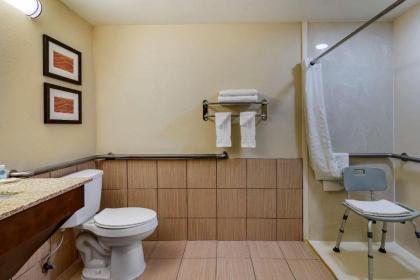 Comfort Inn Opelika - Auburn - image 9