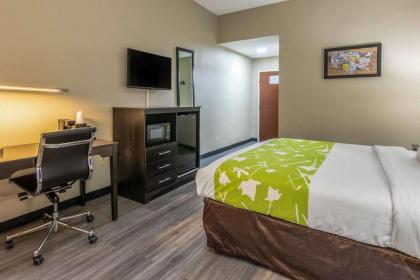 Econo Lodge Opelika - image 8