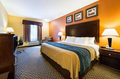 Quality Inn - image 14