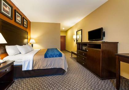 Quality Inn - image 4
