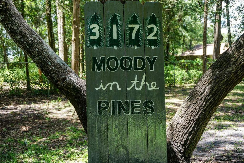 Moody in the Pines - image 3