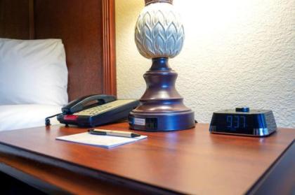 Rosen Inn at Pointe Orlando - image 33