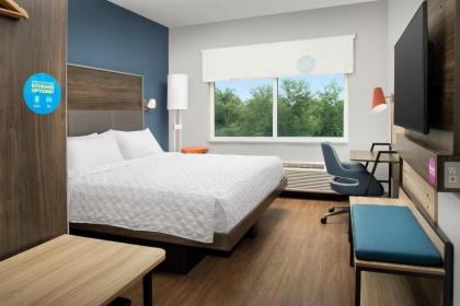 Tru By Hilton Orlando Convention Center - image 10