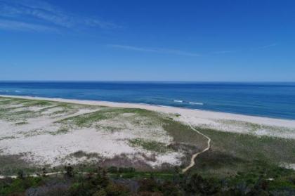 Nauset Beach Buddy - image 2