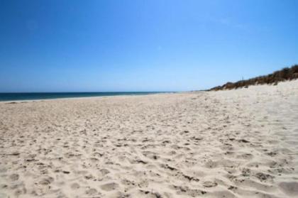 Nauset Beach Buddy - image 4