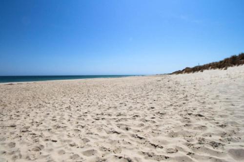Nauset Beach Buddy - image 4