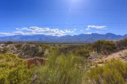 Running Coyote Oro Valley Arizona