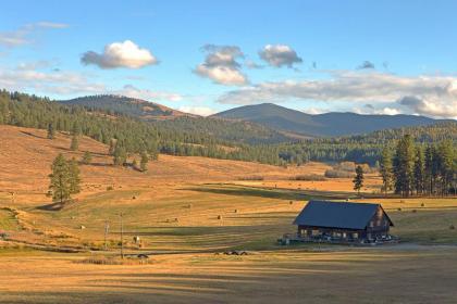 Frontier Cabin