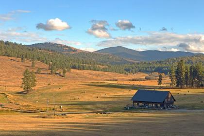 Frontier Cabin Washington