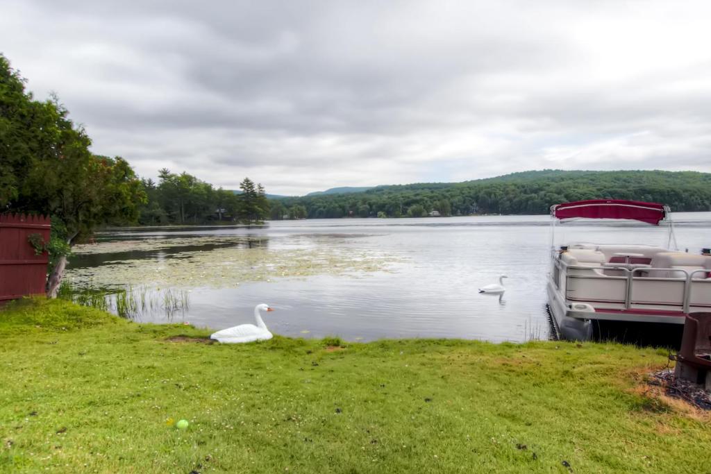 Kamp Koby - Lake Front camp on Lake Hortonia - image 7