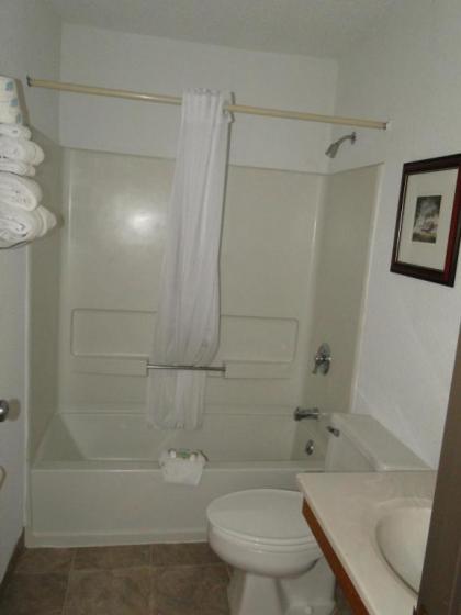 Oscoda Lakeside Hotel - image 14
