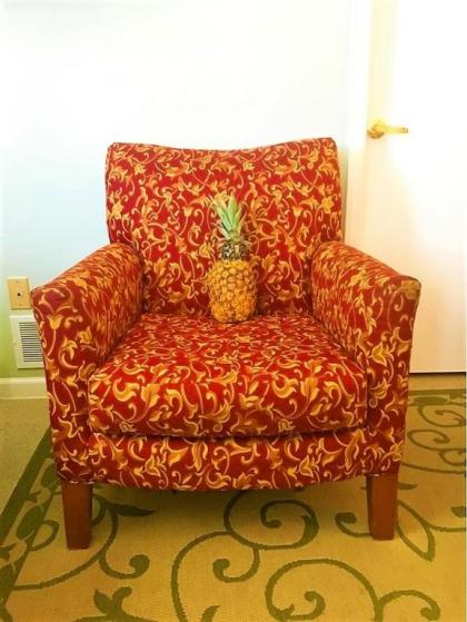 Gold Coast Family Cottages - image 15