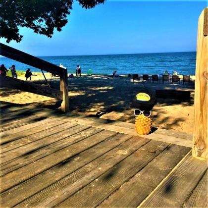 Gold Coast Family Cottages - image 8